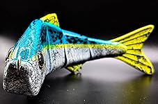 Review Image by Gary H. Gary H.