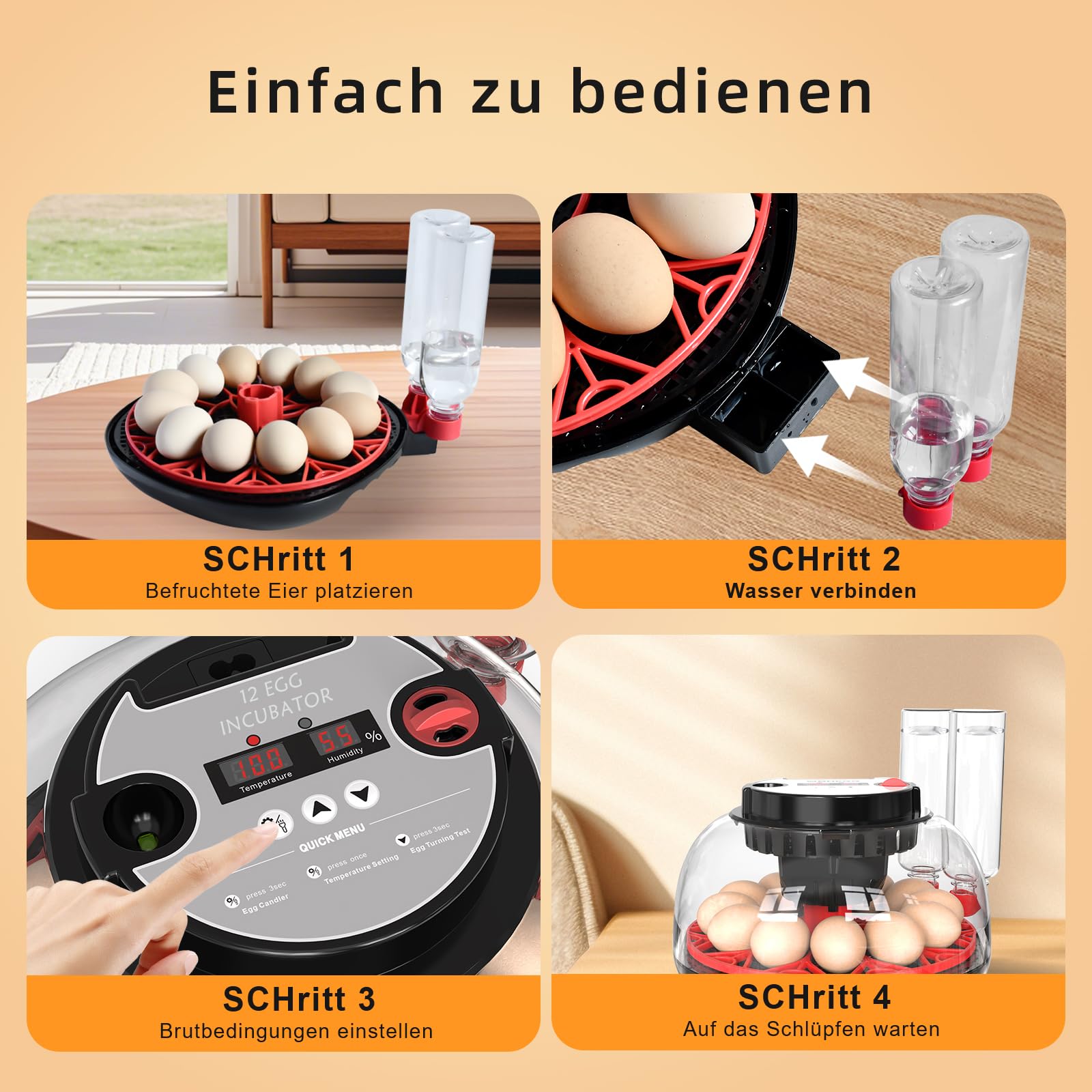 Brutautomat Vollautomatisch für 12 Eier, Digitale Brutmaschine mit Automatischem Eierwender & Feuchtigkeitsregelung, Inkubator Brutkasten mit Schierlampe für Hühner, Wachteln, Enten