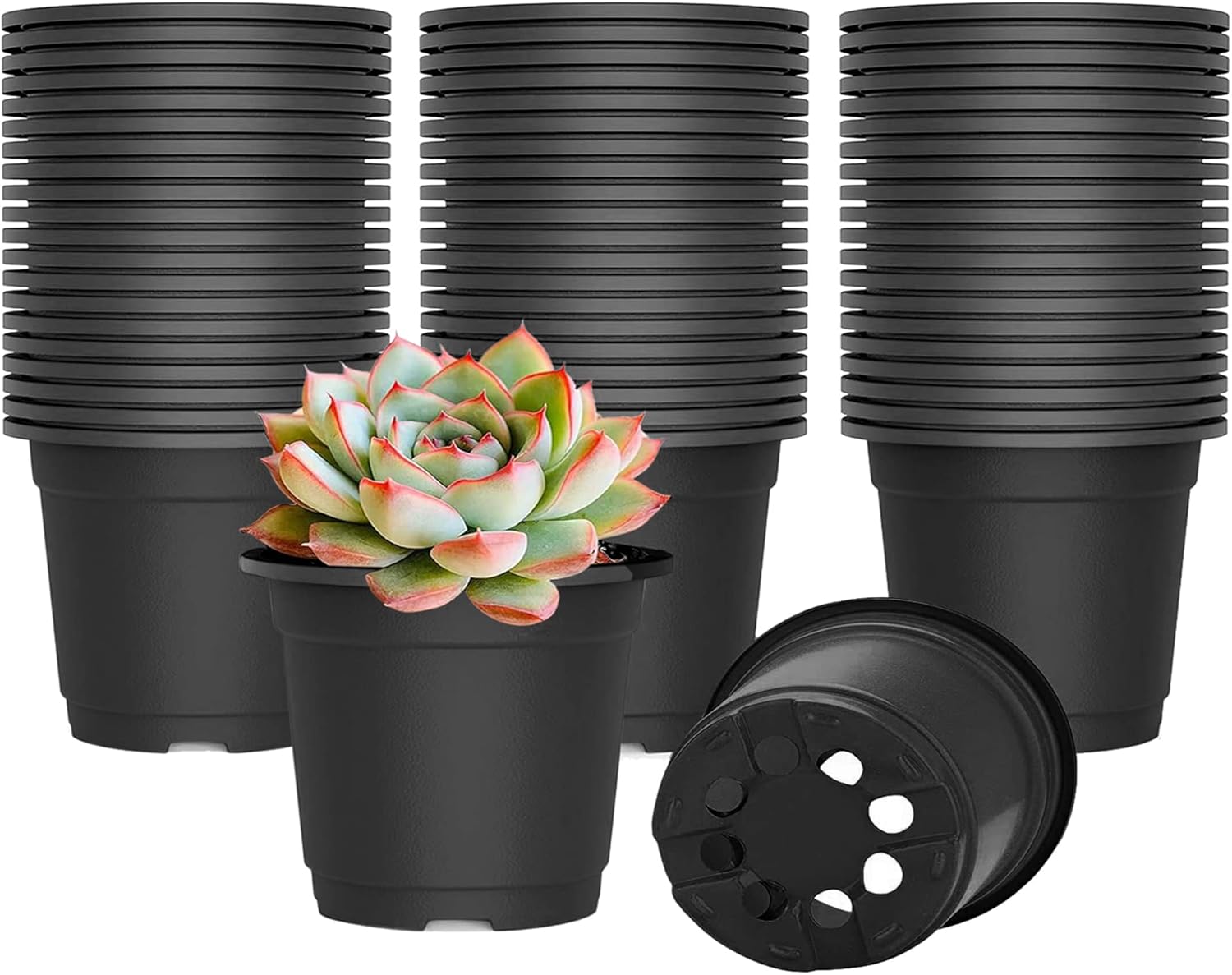 WANBAO 4 Inch Black Planter Nursery Pots, Plastic Starter