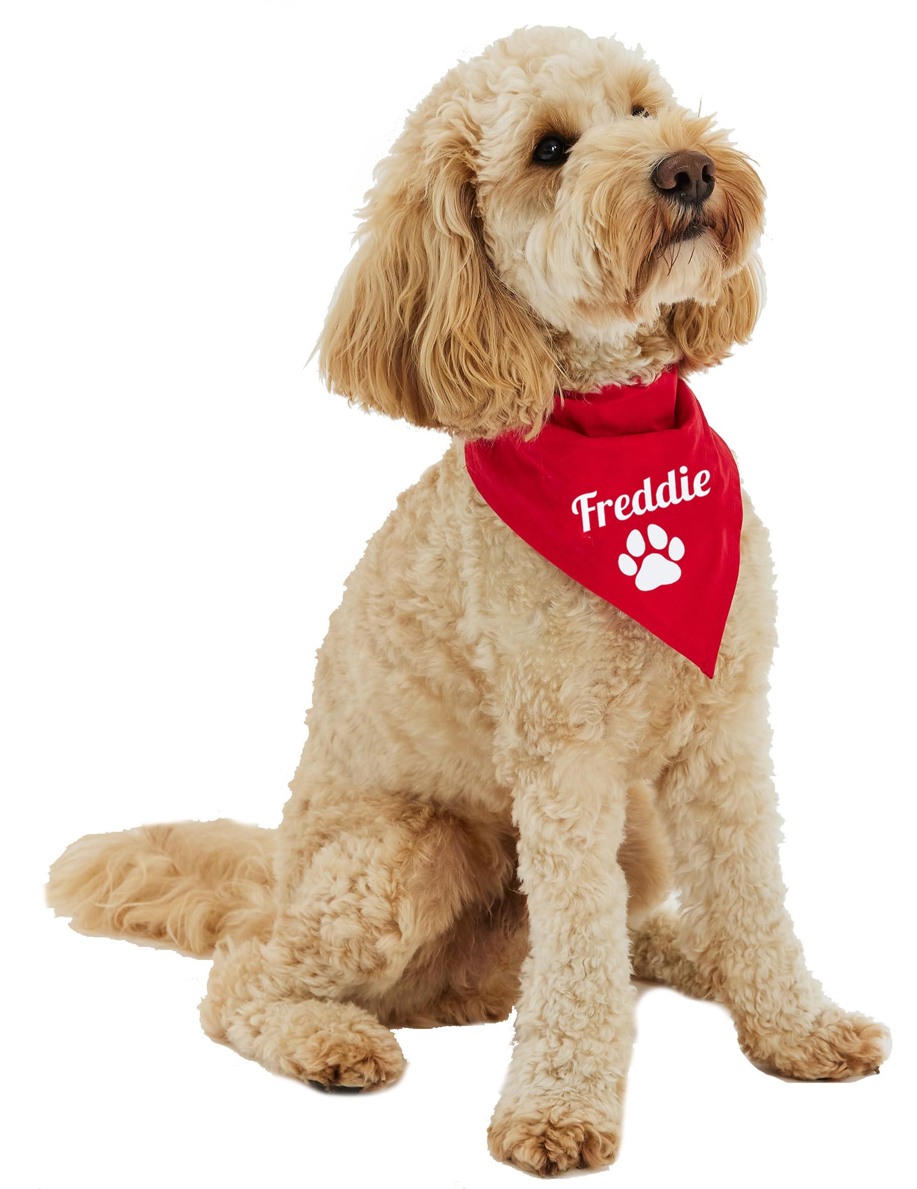 Dog Bandana Personalised with Name and Paw for any Dog Lover Customised with your own Wording (Large, Red)