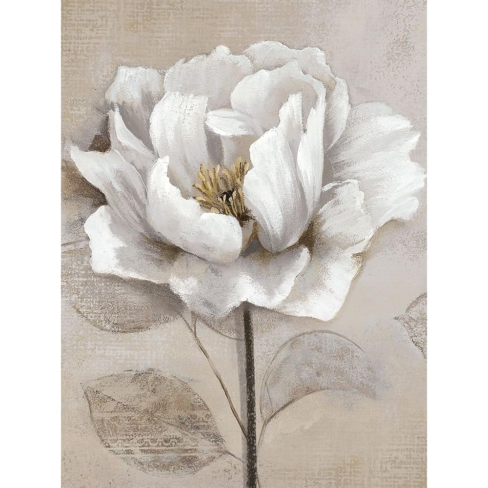 Amazon.com: ArtDirect Nan 19x24 Gallery Wrapped Canvas Museum Art