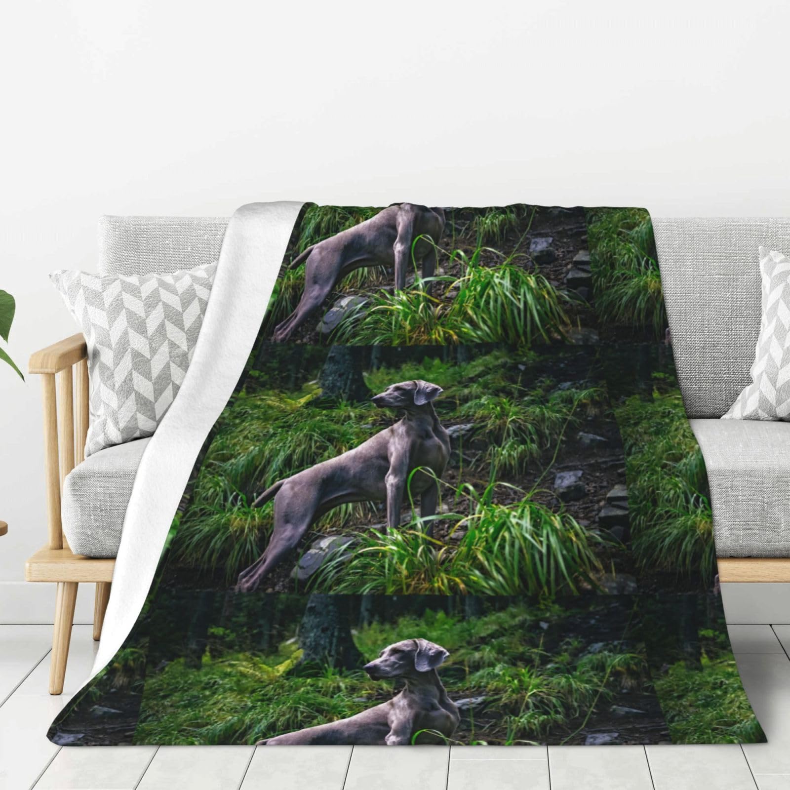 Manta De Tiro Súper Suave Manta De Franela Ligera De Felpa Manta De Cama Peluda Weimaraner Perros Mascotas Perros Grises,60 x 50 Pulgadas.