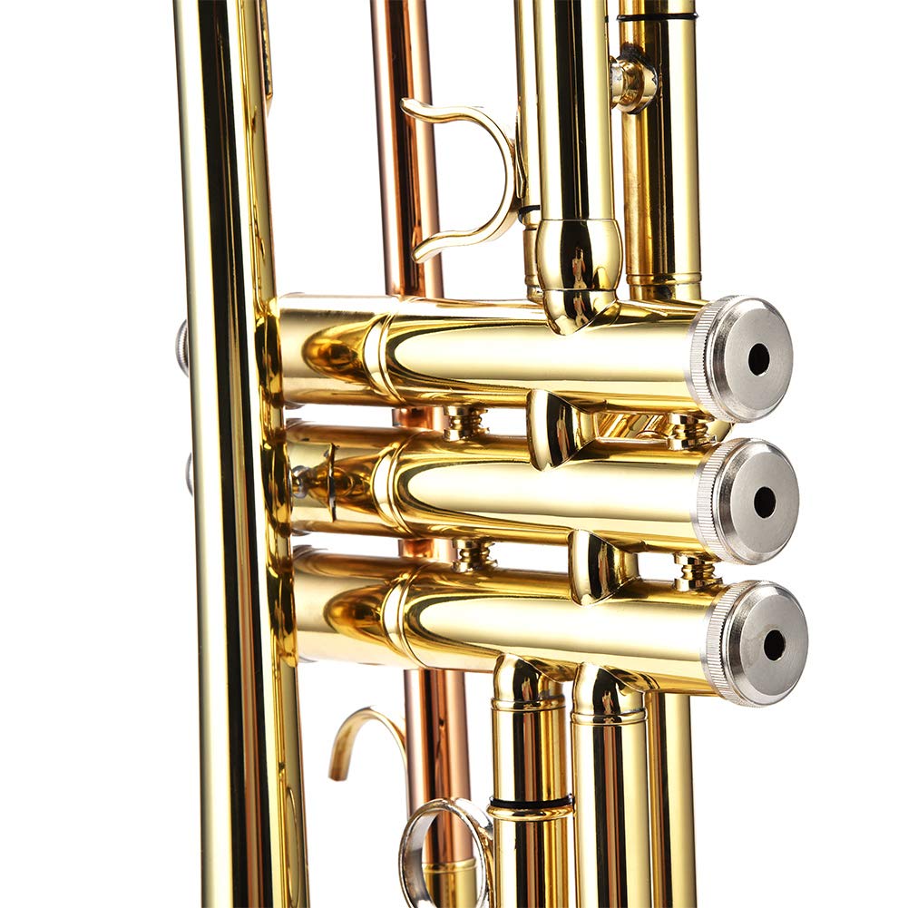 Tbest Trompete Bb Messing Golden - Praxis Learning Instrument Set Kit Zubehör mit Trompete Koffer für Erwachsene Anfänger Kinder Studenten