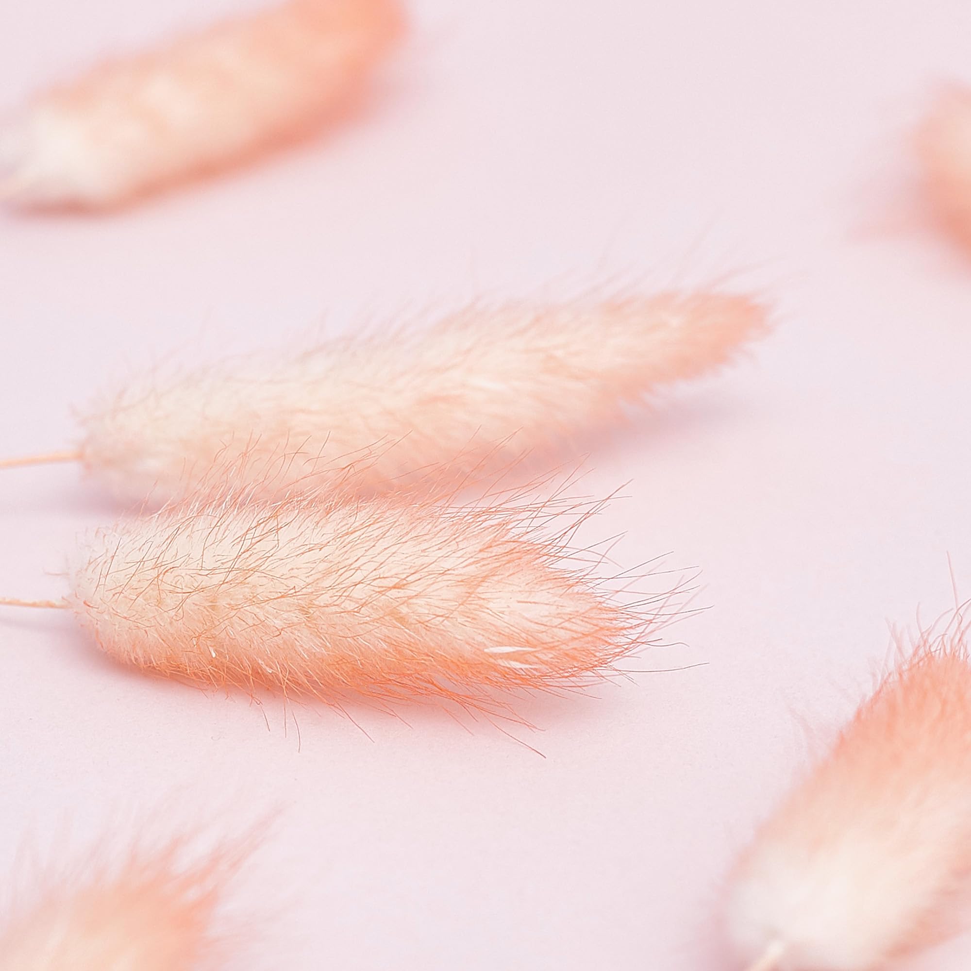 The Baked Studio - Original Dried Flower Lagarus Bunny Tails Set For Cake & Cupcake Decorating & Others Crafts (Peach) - Image 3