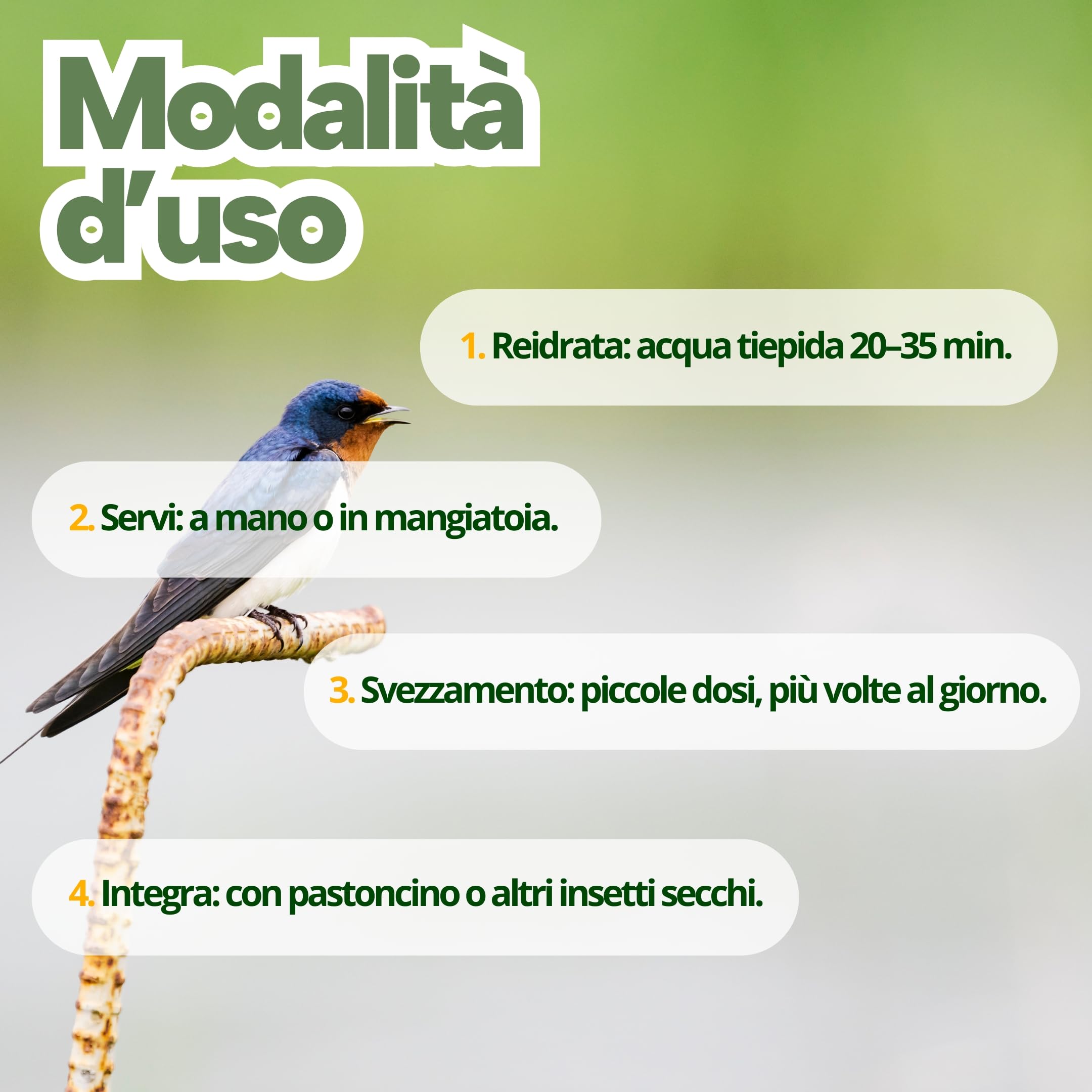 Grilli Liofilizzati 500ml Mangime Uccelli Selvatici Rondini, Rondoni, Balestrucci e Altri Uccelli Insettivori Ideale anche per Geco, Camaleonte, Tartarughe e Pesci Grilli per Rondini Cibo Alta Qualità