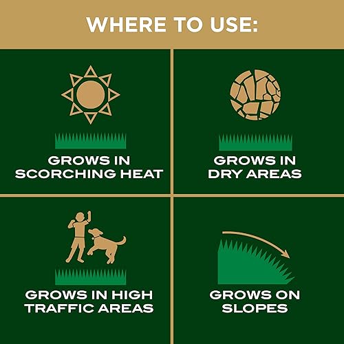 Miniatura 9 de Scotts EZ - Parche de semillas y reparación de césped Bermuda, mantillo combinado, semillas de césped Bermuda y fertilizante para manchas calvas