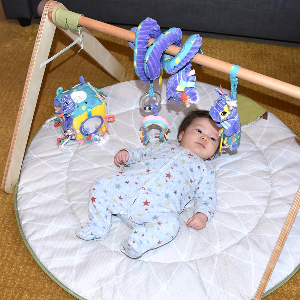 Les Déglingos – Cubo de actividades de tela Kiprokos Le Zebra- Juguete de despertar sonoro y táctil para bebé – Juguete de desarrollo – Regalo de nacimiento – 12 cm – Violeta