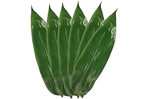 Fresh Bamboo Leaves for Cooking Zongzi