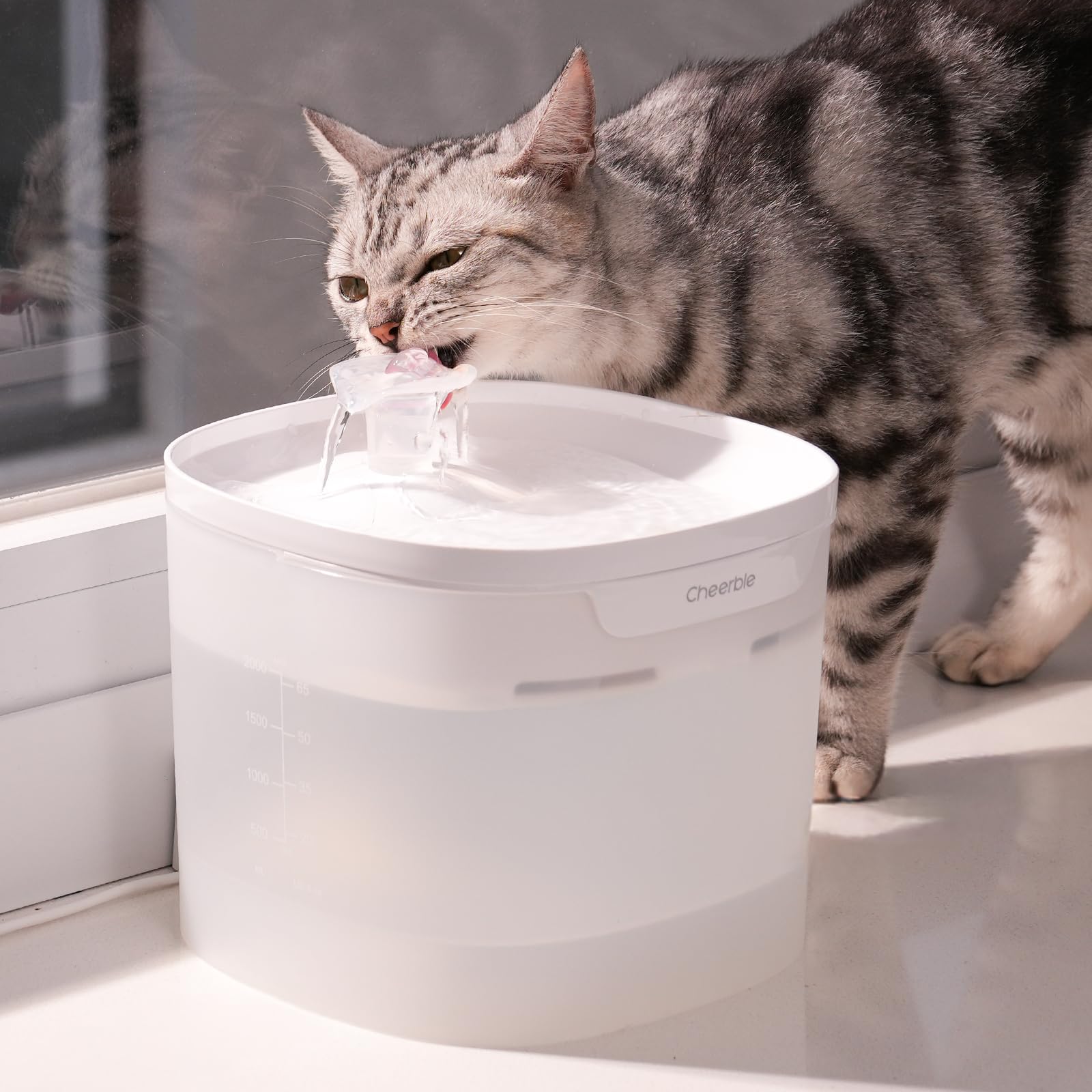 Cheerble PET FOUNTAIN E1+ ペット給水機 Pet Fountain Elfin E1+ | Fresh Water for Pets | Buy Now