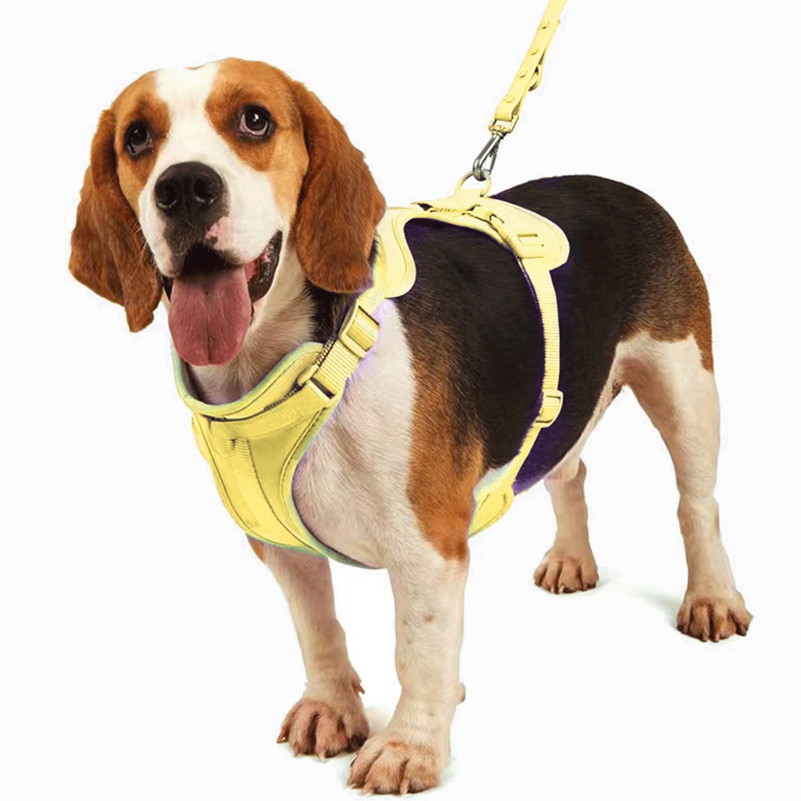 Arnés para Perros - Arnés Ajustable 4 En 1 para Mascotas - Antitirones, Impermeable, Almohadilla De Malla Transpirable | Adecuado para Perros Pequeños Y Medianos(Yellow,M)