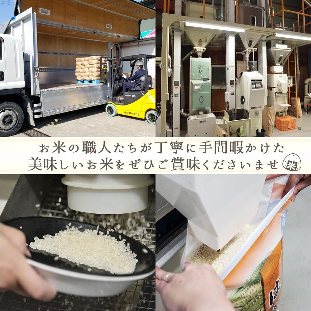 ヒメノモチ もち米 10kg (5kg×2袋) 山形県産 【黄色】 米屋の餅米 精米