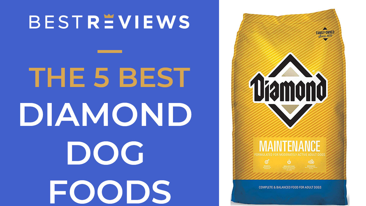 best diamond dog food