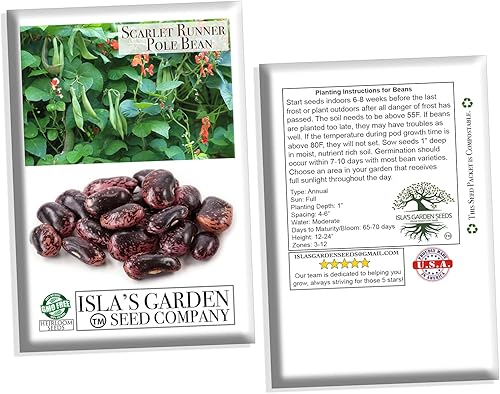 Miniatura 6 de Semillas de frijol Scarlet Runner Pole para plantar, más de 25 semillas de reliquia por paquete, semillas de jardín de Isla (semillas de jardín de