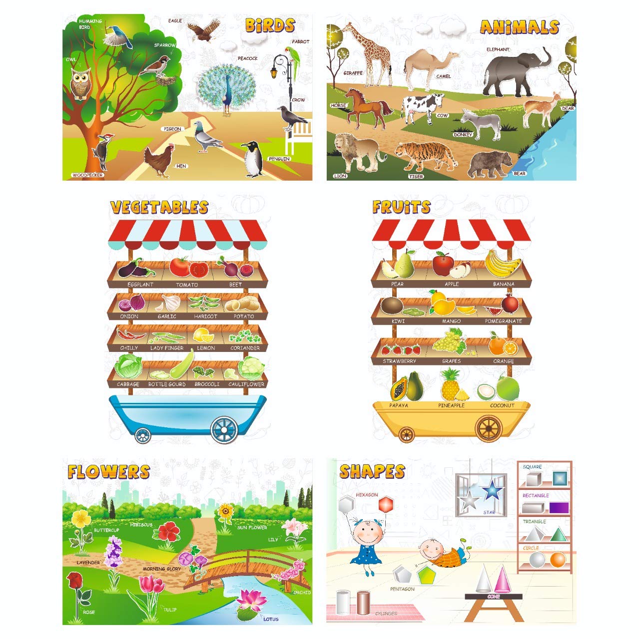 VantageKart Educational Wall Posters Set of 6 for Kids | Birds, Animals, Fruits, Vegetables, Flowers & Shapes Charts | 12x18 Inch Preschool Learning Charts for Toddlers, Nursery, LKG, UKG