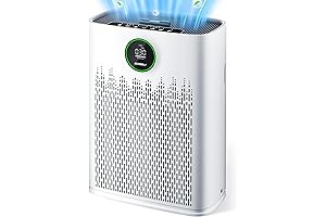Advanced Moss Air Purifier: Cleanse Your Home with Enhanced Purification Tech
