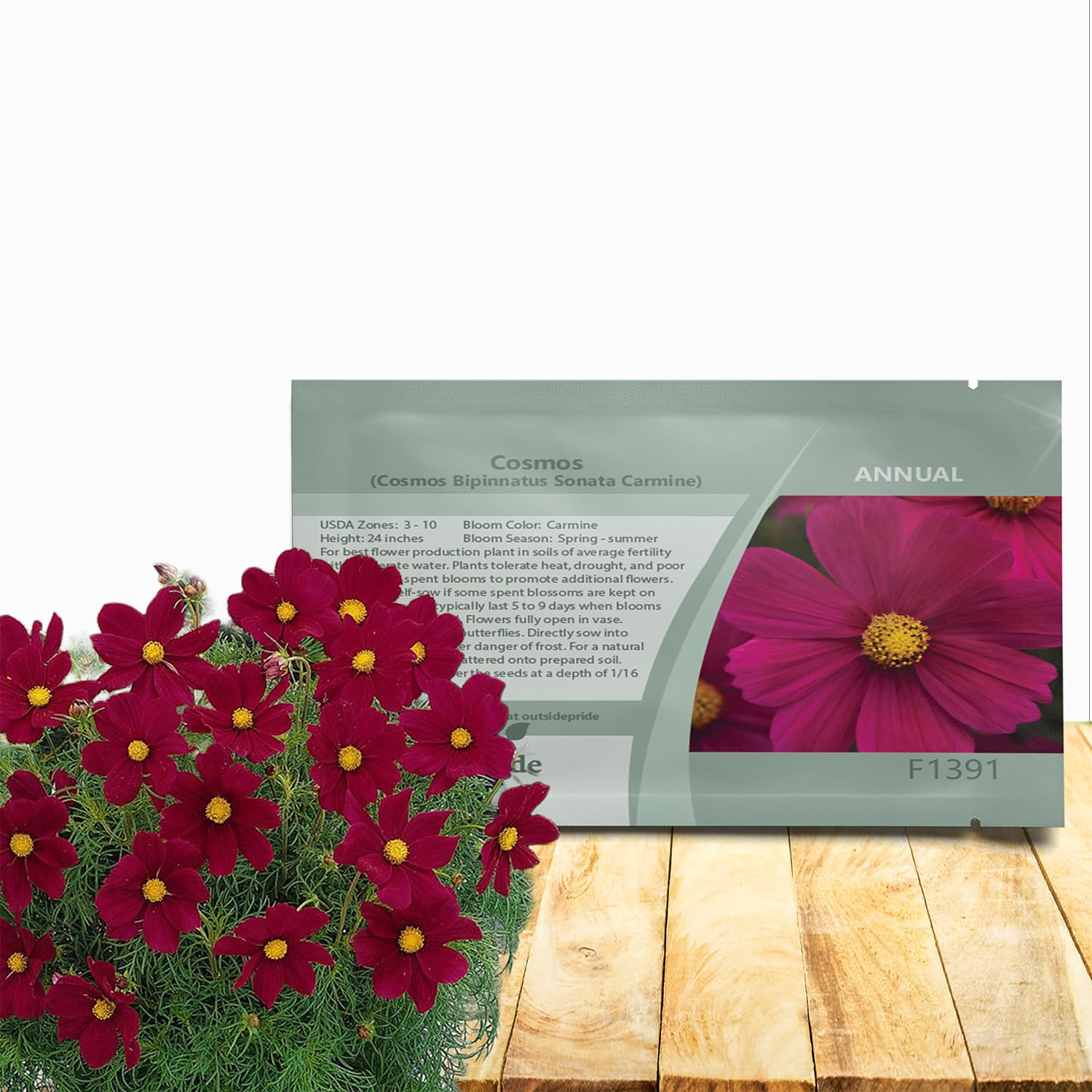 Sonata Carmine Cosmos Bipinnatus Seeds – 50 piezas anuales, fáciles de cultivar y tolerantes a la sequía, semillas de flores para plantar con flores compactas montículas, ideales para