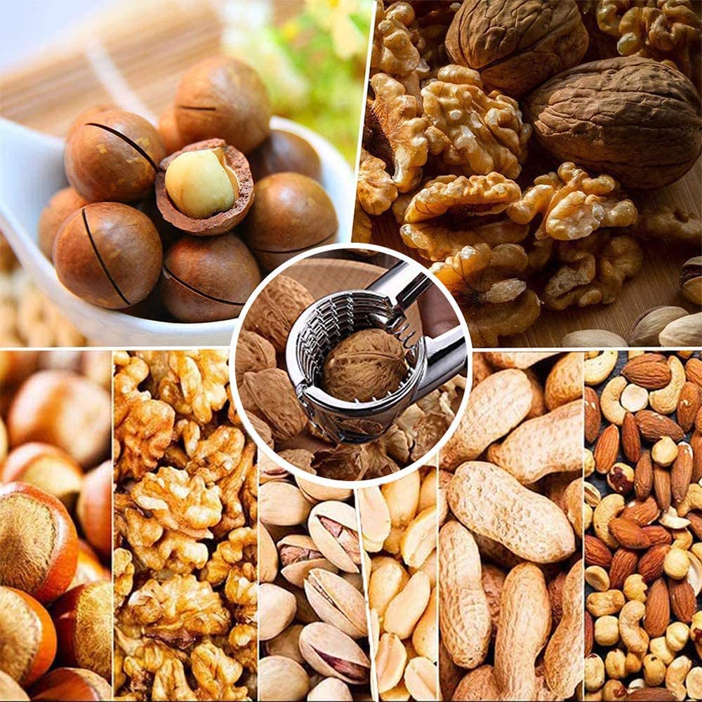 Noce Pinze, Schiaccia Noci, Pecan Cracker Pinze, Schiaccianoci Acciaio Inox, Schiaccianoci Multifunzionale, Antiscivolo Schiaccianoci, Con Maniglia Antiscivolo, per Noce, Pistacchi, Mandorle, Pecan