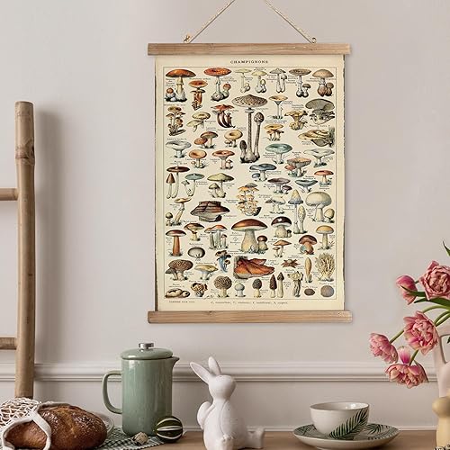 Miniatura 190 de XIAOAIKA Póster de botánica vintage con marco de madera, tabla de plantas venenosas antiguas, arte educativo botánico con especies peligrosas, 1