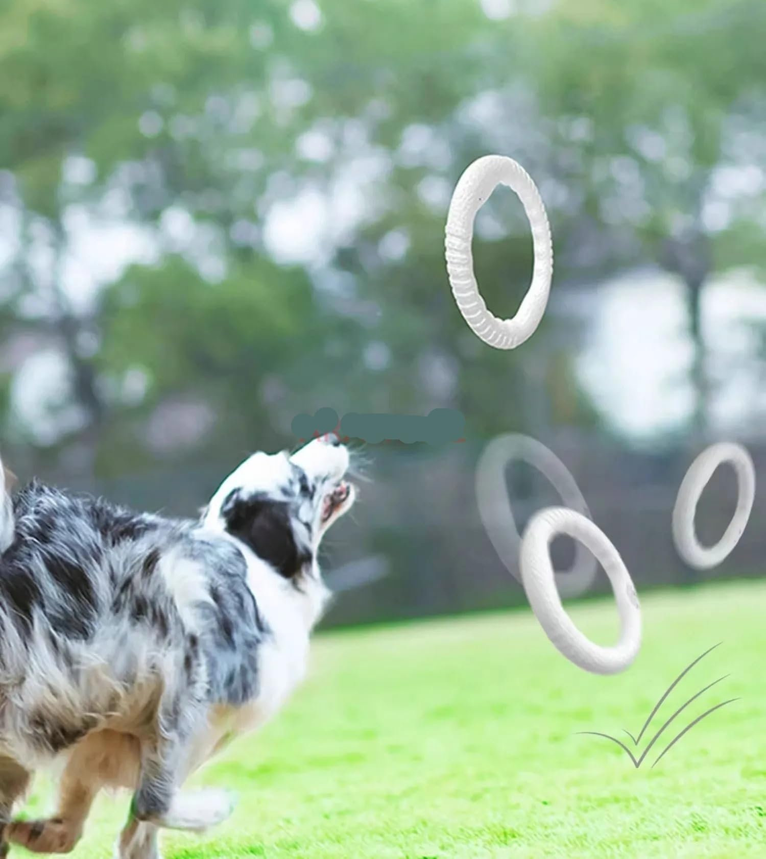 Langlebiges Hundespielzeug für Golden Retriever und Border Collies – bissfest und ideal für das Training