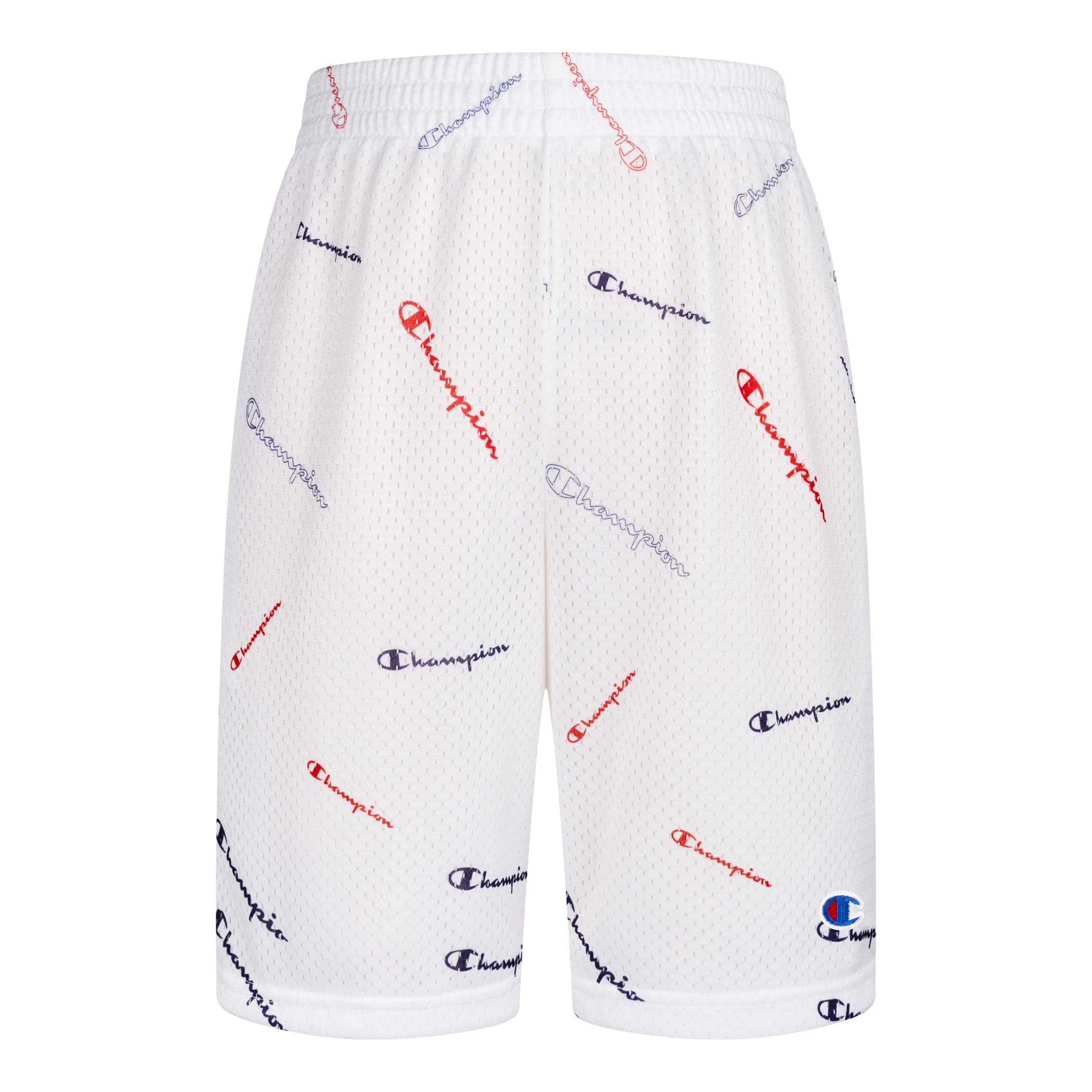 Champion Boys Hertiage Script Mesh Short