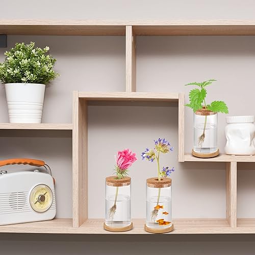 Miniatura 6 de 6 macetas de vidrio de escritorio de terrario para plantas, macetas de propagación de plantas de mesa con corcho y platillo de madera para cultivar