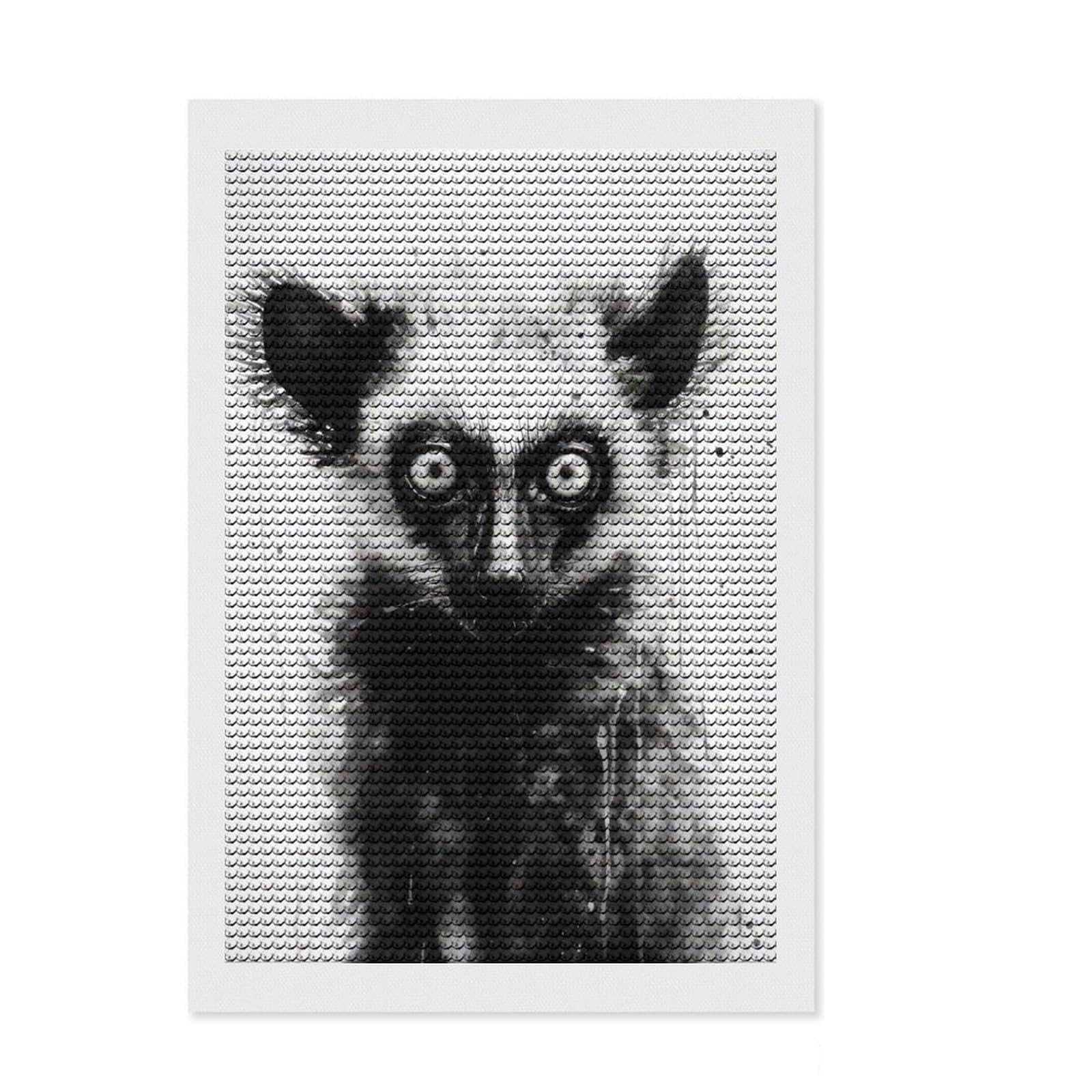 Junmoney Lemur Beauty Watercolor Diamond Art Canvas 8"x12", Adhesive Canvas, Easy to Follow Symbols, Living Room Decor, Holiday Gift Idea