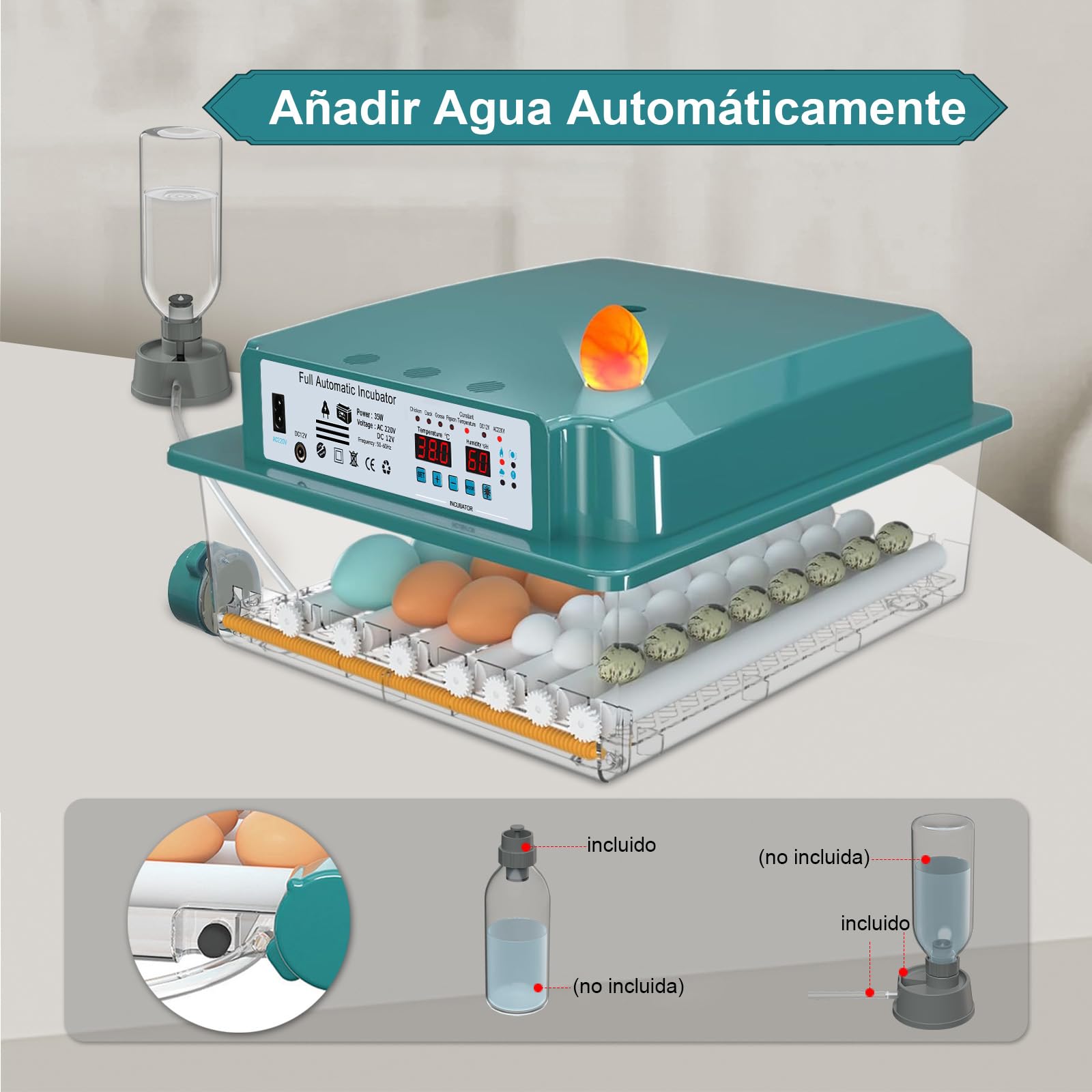 CoInceptus Incubadora Huevos Gallina, Incubadora de 24-36 Huevos con Volteo Automático de Huevos y Humidificación automática, Incubadora para Huevos de Gallina, Codorniz, Pato, con Lámpara de Huevo