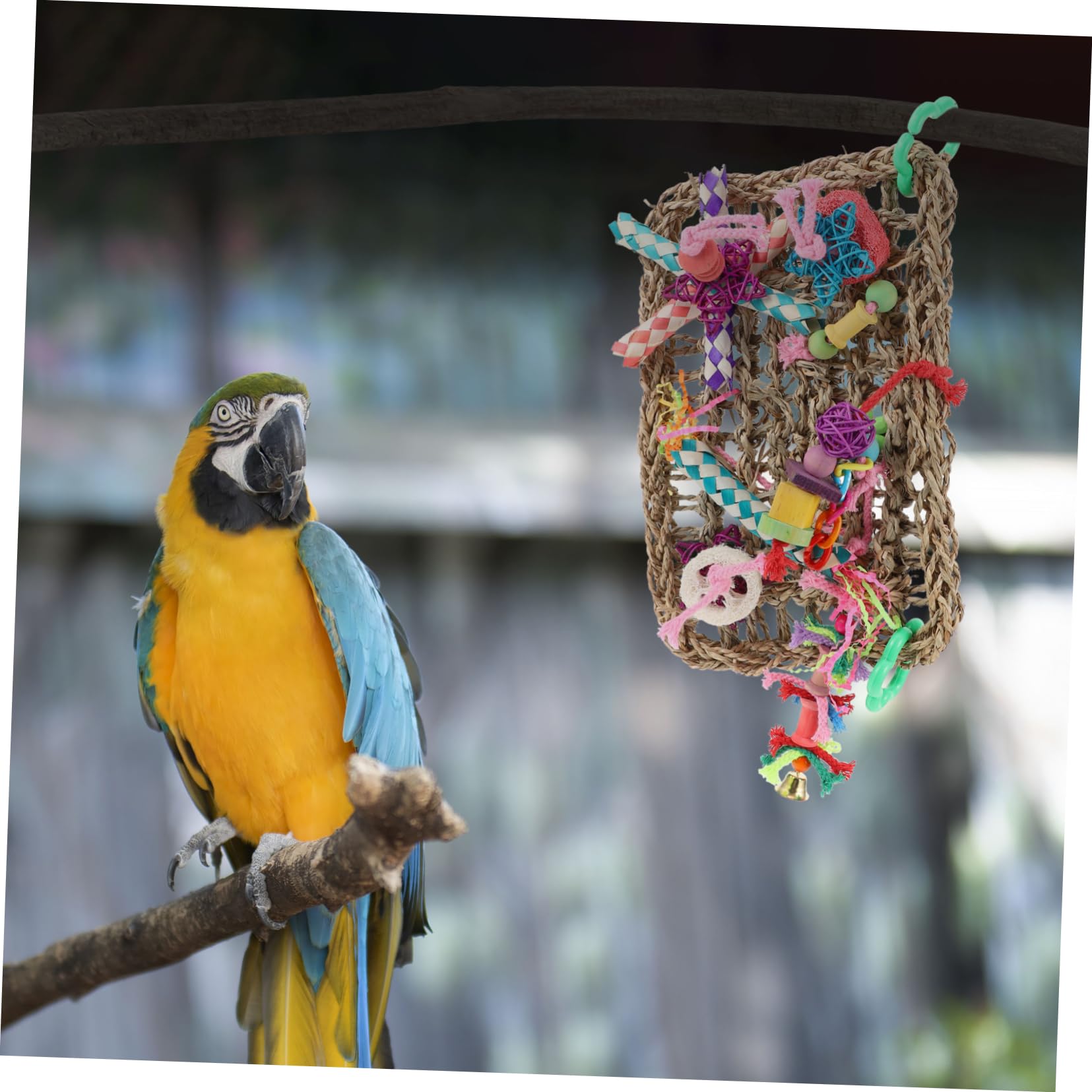 minkissy Lot De 2 Jouets À Mâcher pour Oiseaux Filet Descalade pour Oiseaux Jouets pour Cage À Perroquets Matériau en Paille Sûr Jouet De Divertissement pour Perroquets