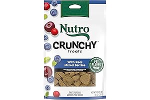 NUTRO Crunchy Dog Treats with Real Mixed Berries