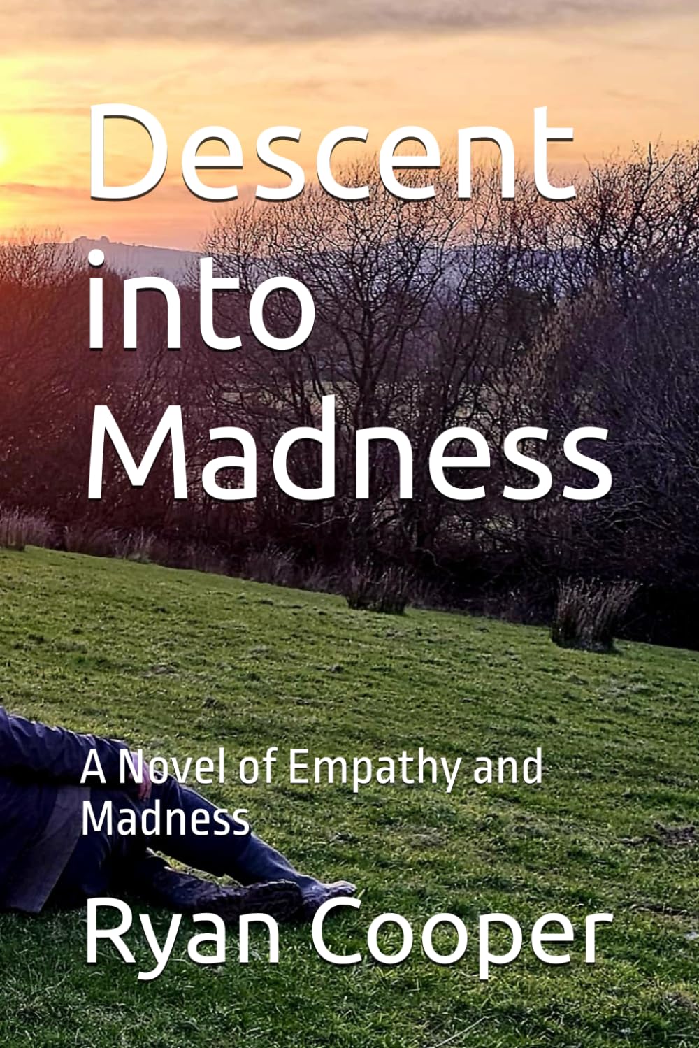 Descent into Madness: A Novel of Empathy and Madness