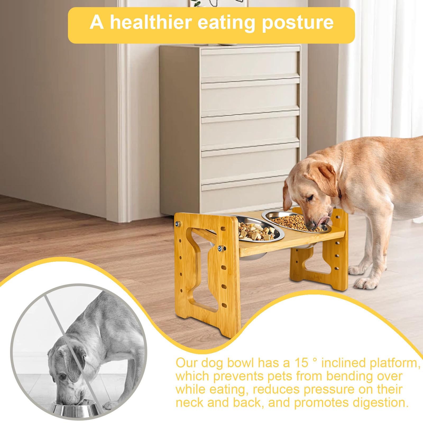 Gamelle surélevée pour chien - Antidérapante - Hauteur réglable - Avec support - 5 mangeoires réglables - Avec 2 gamelles en acier inoxydable - Pour chiens de petite, moyenne et grande taille