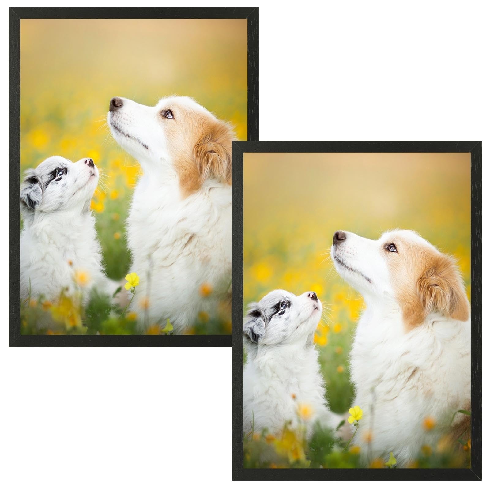 VIIBASE Marco de fotos con certificado A3, marco de fotos de madera negra mate, marco de póster con cristal plexi para montaje en pared, 29,7 x 42 cm, juego de 2 unidades