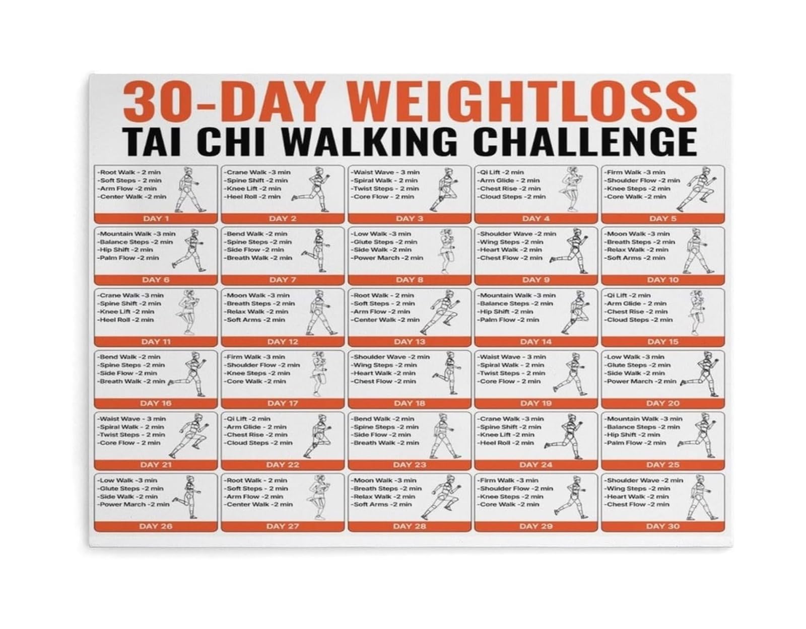 PKNVKZIDK Fitness Motivation Poster Tai Chi Movement Art Home Gym Wall Decor Inspirational Quote Print for Office Studio Unframed,12X18inch(30X45cm)