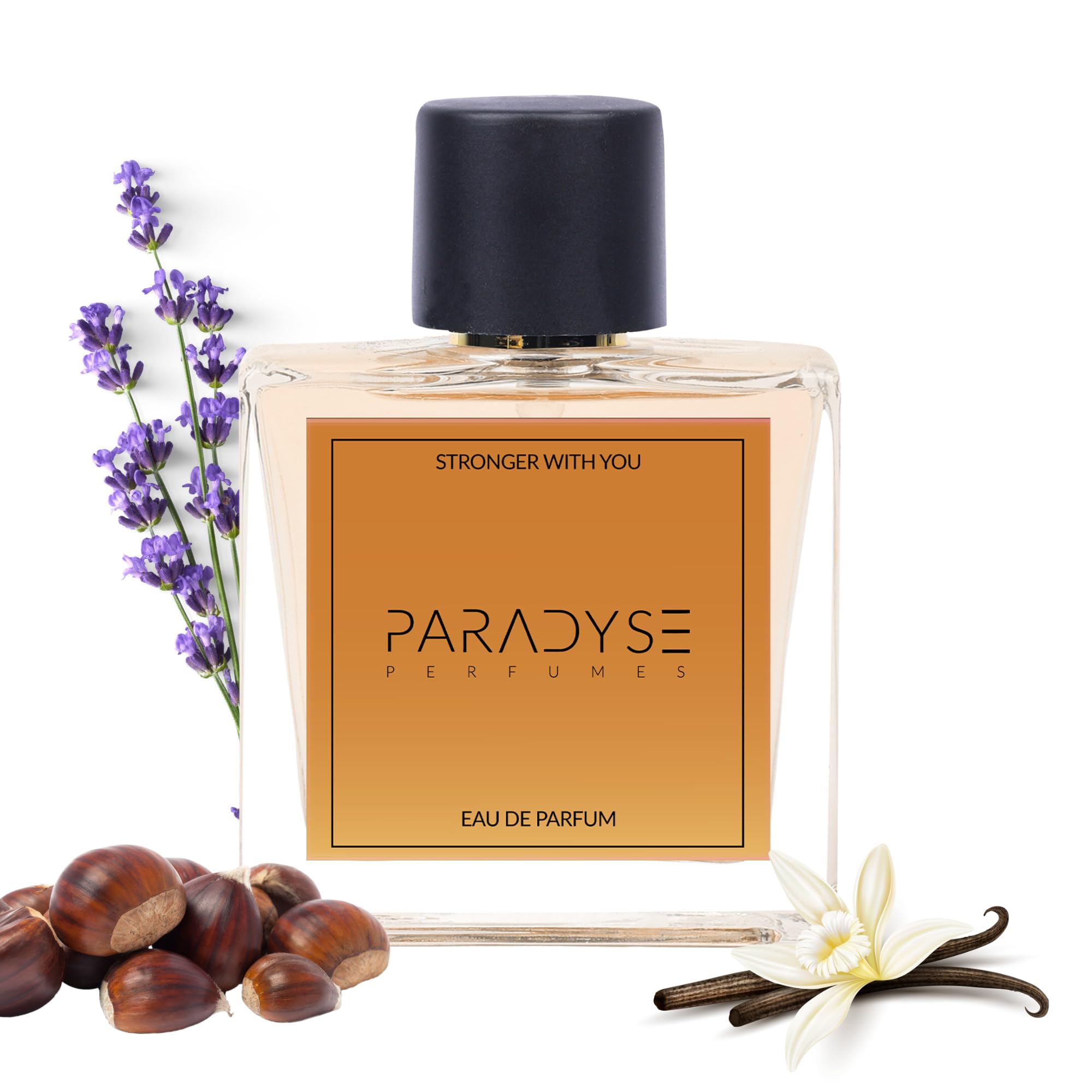 PARADYSE PERFUME™ Stronger With You | EDP Perfume For Mens | Sophisticated Fragrance for Discerning Gentlemen | Long Lasting Perfume For Men | Essence of Elegance EDP 50ML