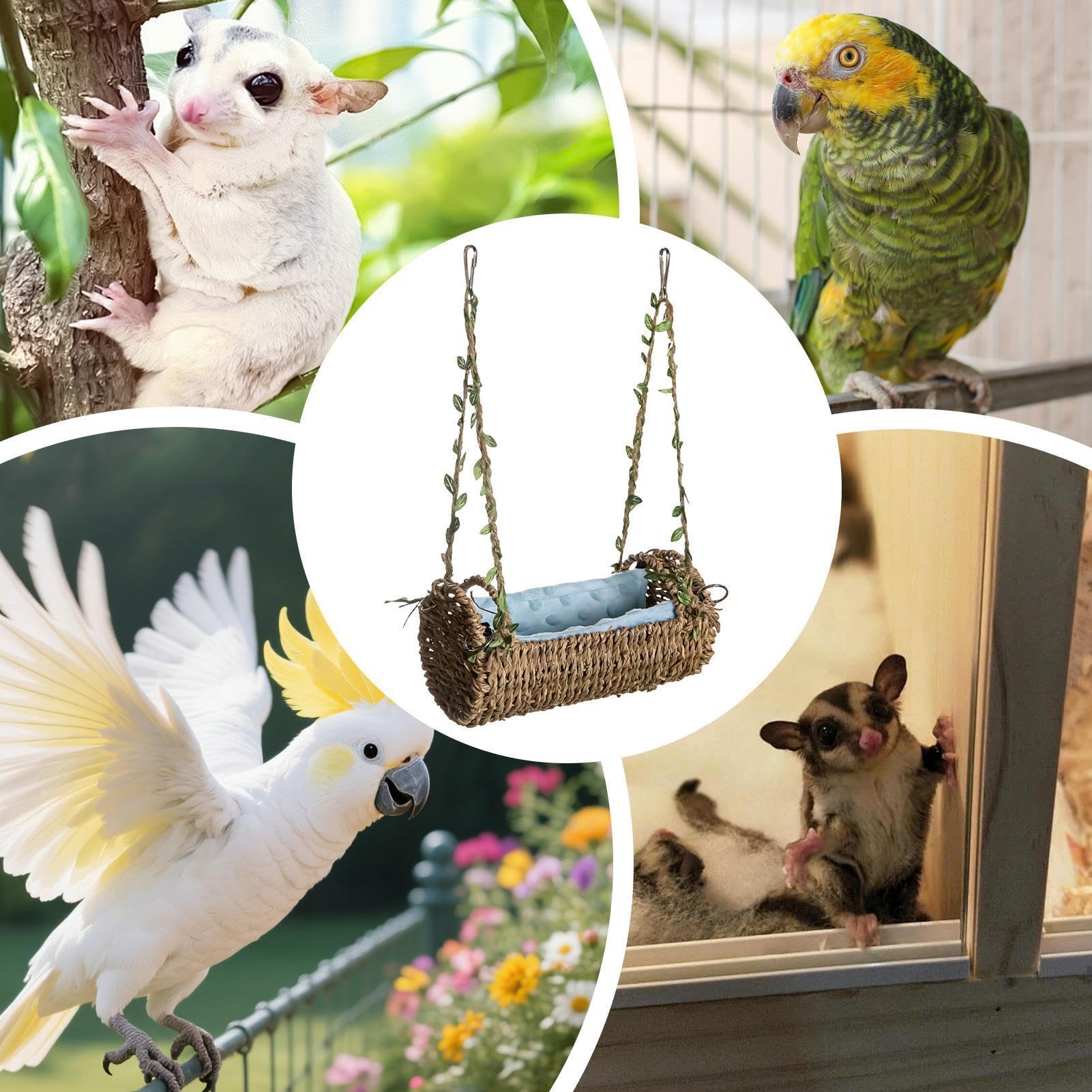 Générique Hamac pour Hamster | Anti-Rongeur, Aéré et Suspendu pour Enrichissement,Balancelle pour Hamster avec Tapis Amovible | pour Cochon d'Inde, Lapin Nain, Chinchilla, Gerbille