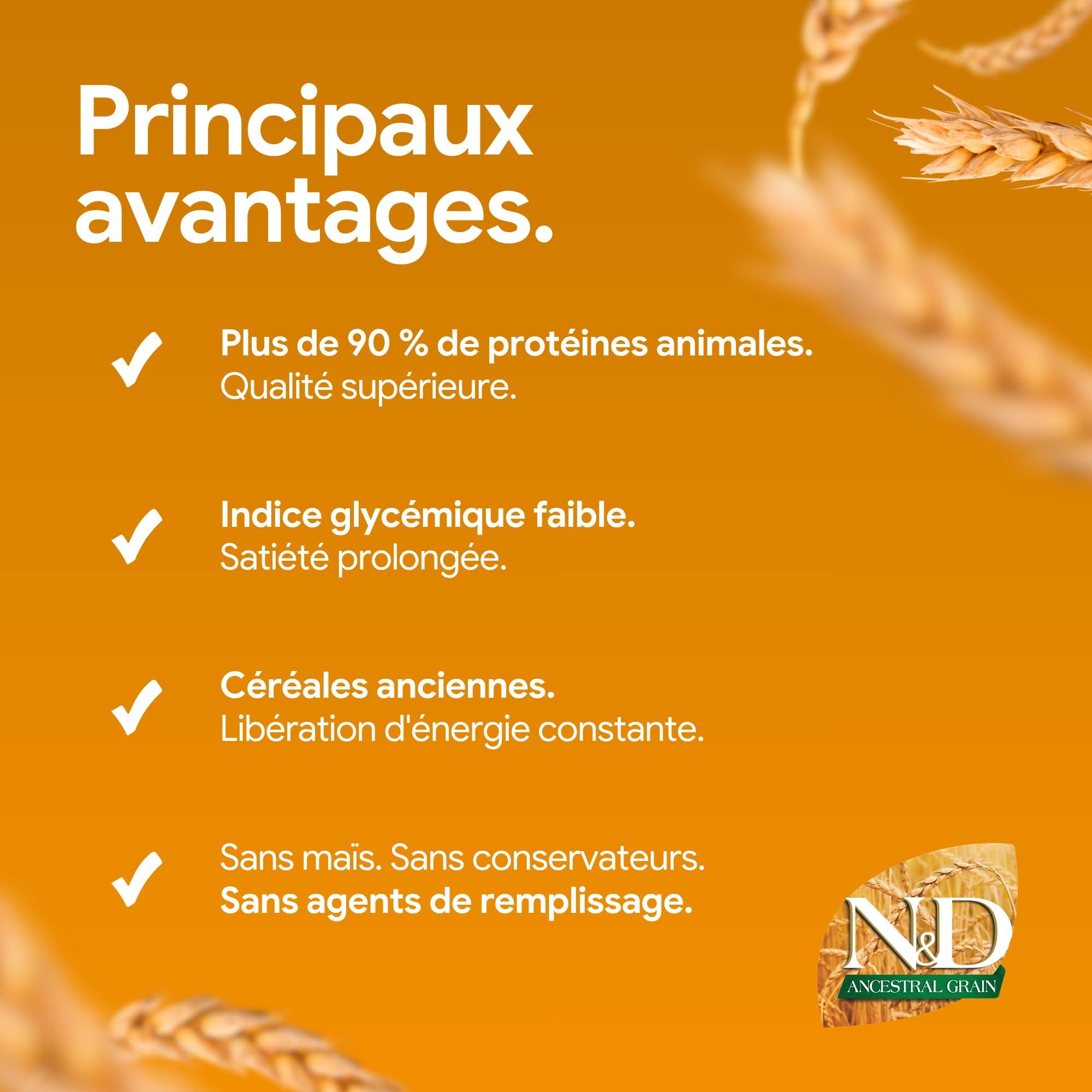 N&D Ancestral Grain Selection pour Chien Adulte Moyennes & Grandes Races 15kg