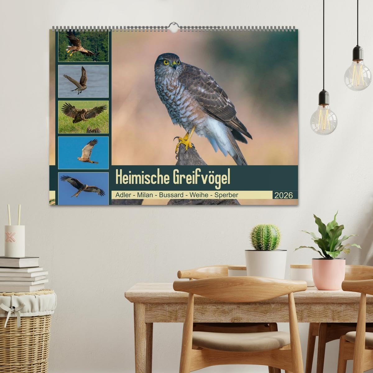 Heimische GREIFVÖGEL Adler Milan Bussard Weihe Sperber (Wandkalender 2026 DIN A2 quer), CALVENDO Monatskalender: Ausgesuchte Aufnahmen aus der Familie der Habichtartigen (CALVENDO Tiere)