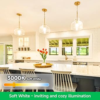 MAXvolador A19 LED Light Bulbs, 100 Watt Equivalent LED Bulb, 1100 Lumens Soft White 3000K E26 Medium Base, Non-Dimmable 11W LED Bulb 12-Pack