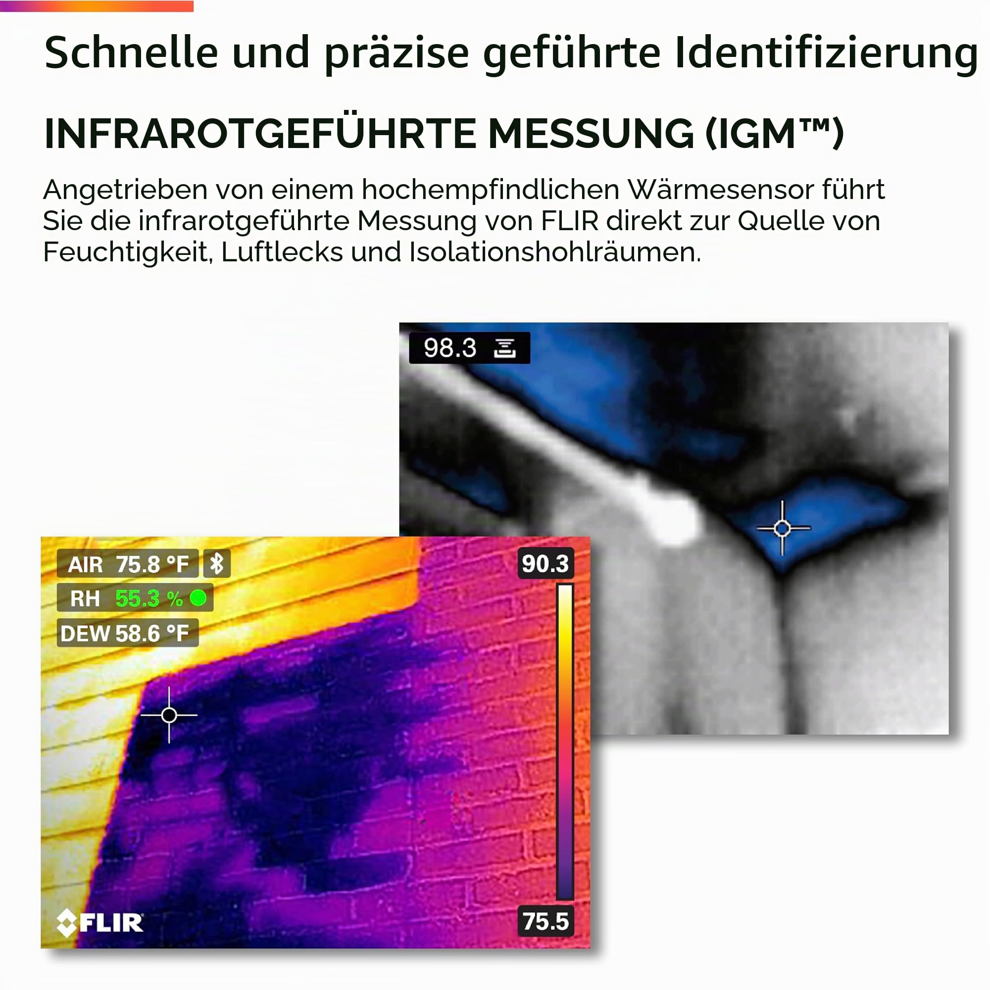 Flir MR277 Feuchtigkeitsmesser, MSX IR-Kamera und Hygrometer