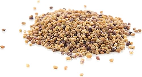 Miniatura 7 de Todd's Seeds Semillas de trébol carmesí germinado, reliquia, sin OMG, sin químicos, alta germinación (una libra)