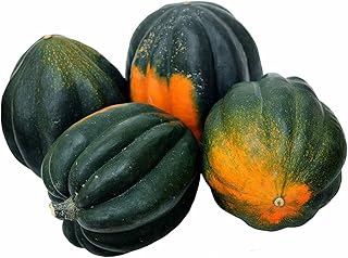 50 Seeds Acorn Squash Table King Bush Acorn Squash Pepper Squash Des Moines Squash Seeds Non-Hybrid, Open-Pollinated, Suited