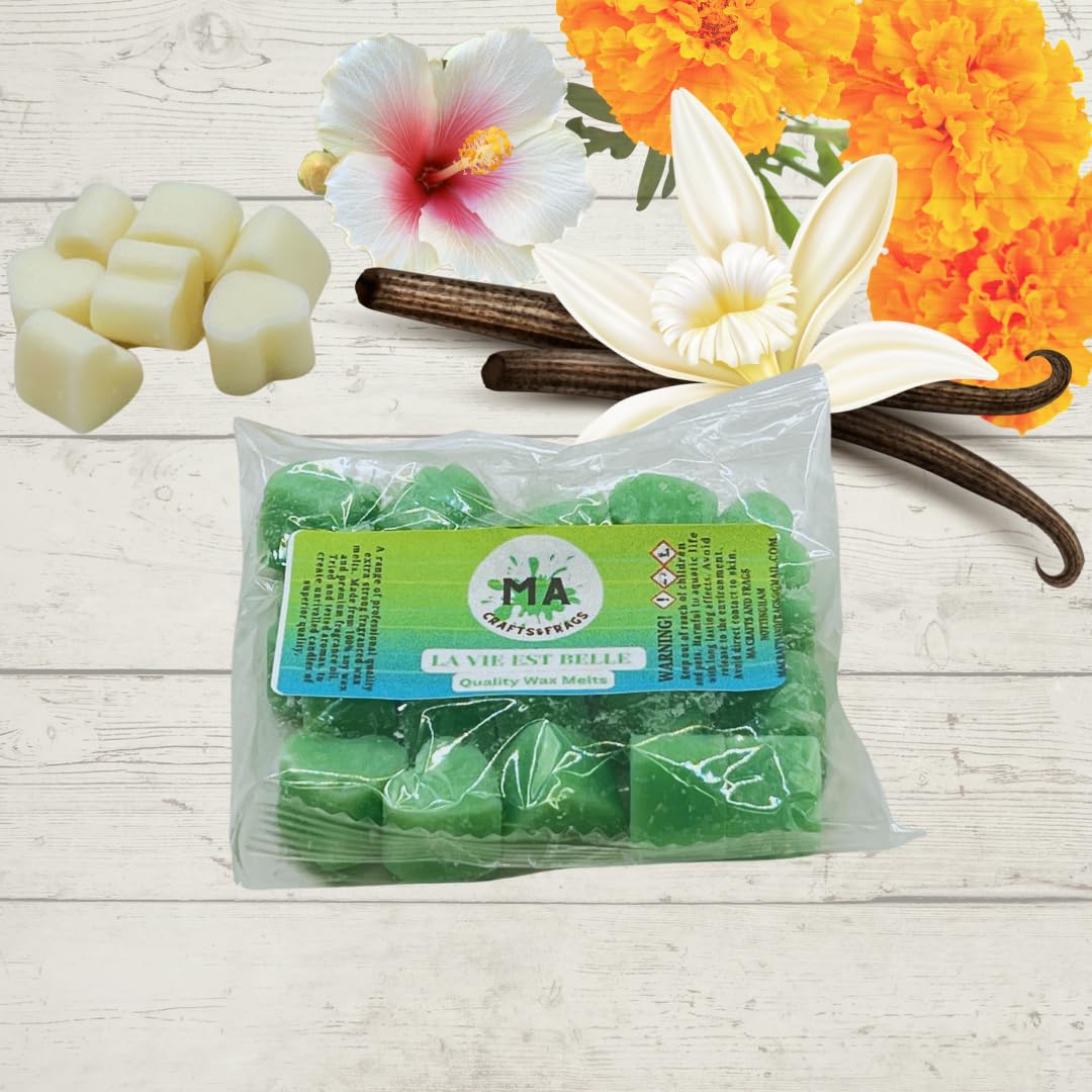 20 x Highly Scented Wax Melts Mini Hearts Handmade, Cruelty Free, Vegan Many fragrances (LA Vie EST BEL LE)