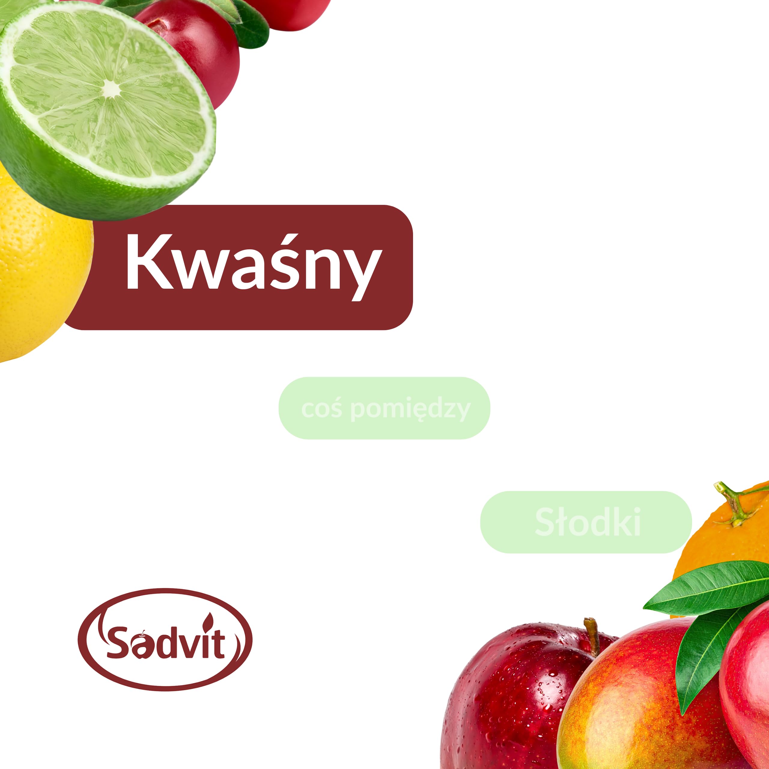 Sadvit | Lutówka Sok z Wiśni nie z koncentratu | 3L Bag in Box Sok owocowy NFC | Tłoczony Kwaskowaty Intensywny | Bez Cukru i Konserwantów | Do Koktajli Syropów | Rodzinne Opakowanie | Polskie Owoce