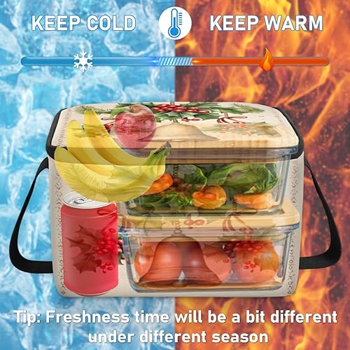 Miniatura 6 de Divertida bolsa de almuerzo aislada para mujer, reutilizable, bolsa de almuerzo cuadrada para adultos y hombres, lonchera más fresca para el