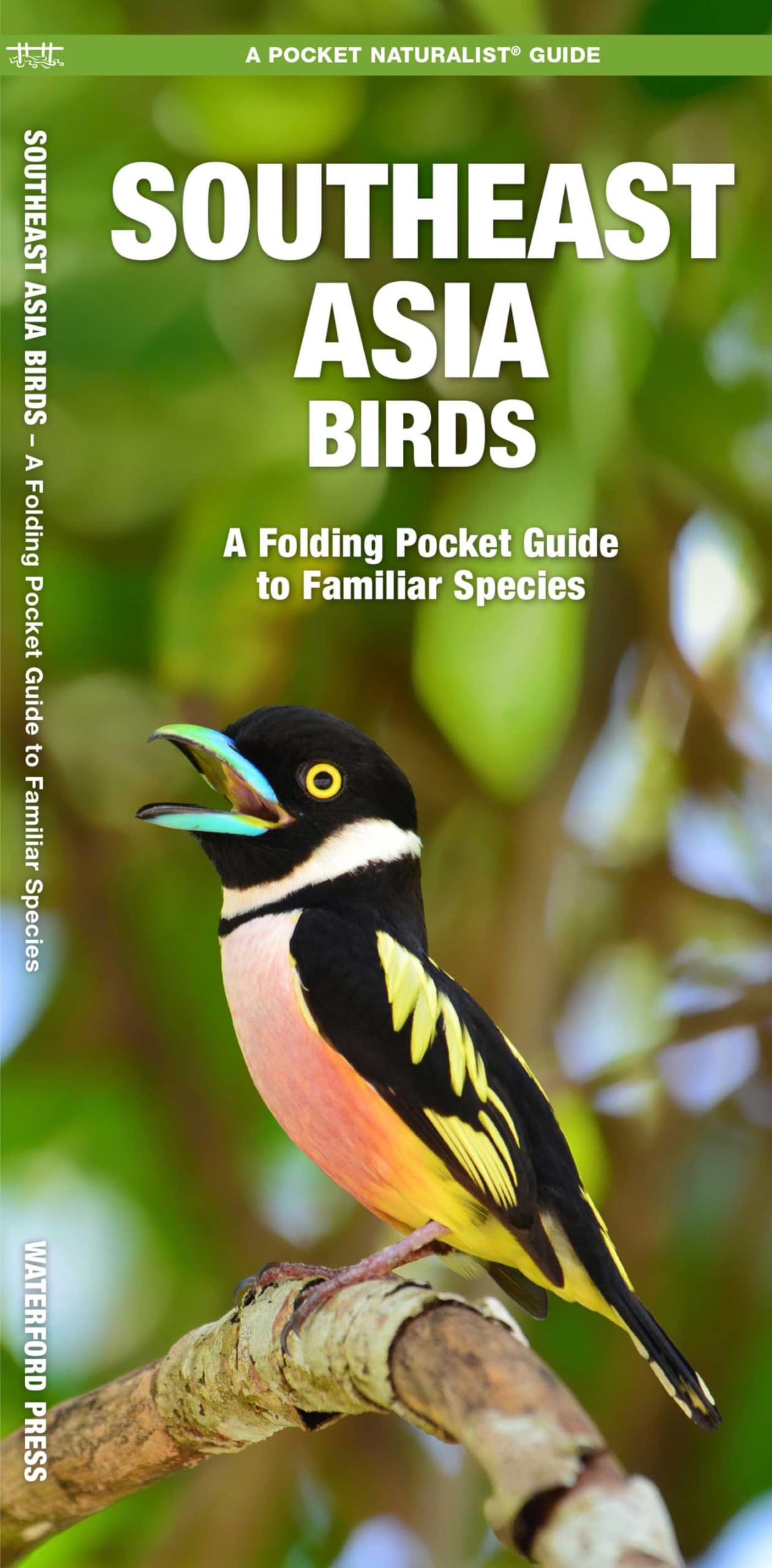 Southeast Asia Birds: A Folding Pocket Guide to Familiar Species (A Pocket Naturalist Guide)
