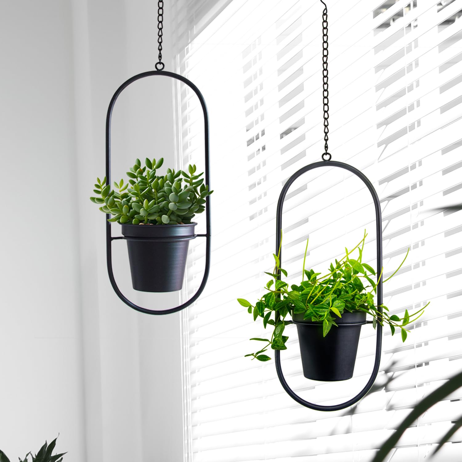 led grow lights for indoor plants GLOWRIUM Full Spectrum Plant Grow Lights (60 in) 36W Hanging and Standing  Auto-Timer Wide Area Coverage in Indoor Plants-G3
