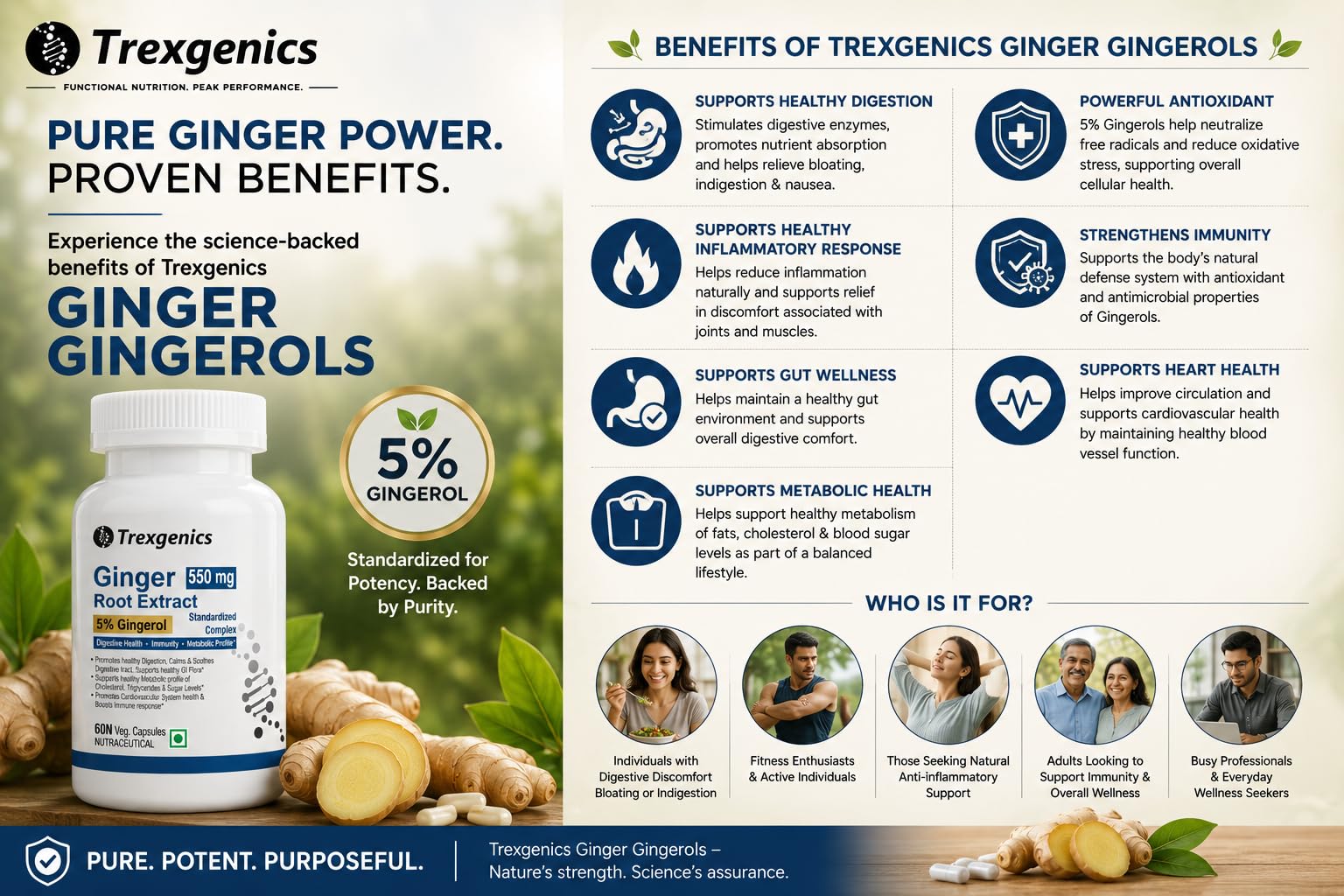 Trexgenics GINGER (Bioactive 5% Gingerol) 550 mg Standardized for Digestive Health, Immunity, Metabolic Profile, Immunity Support (60 Vcaps) (1) 3