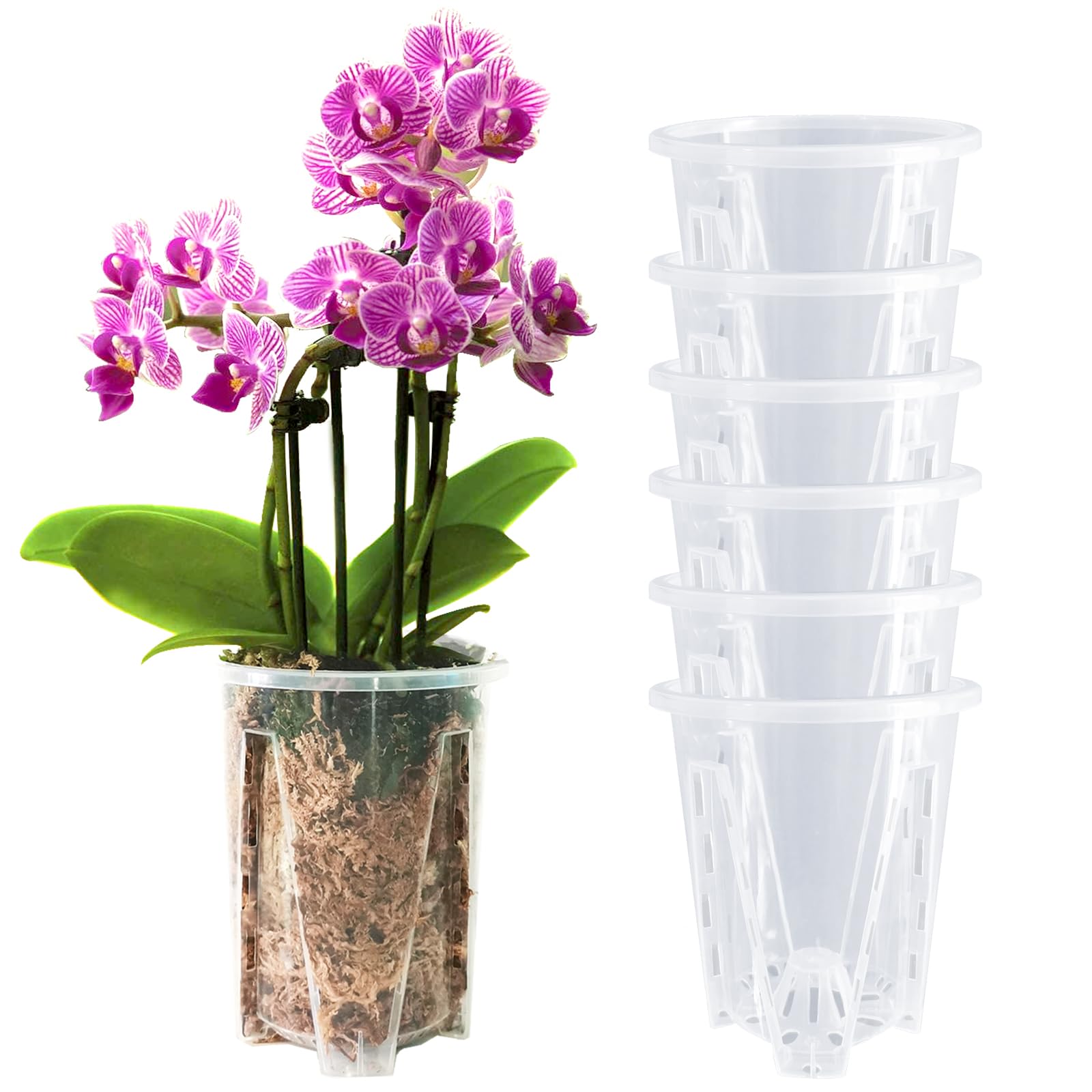 pavtner 6-Pack Orchid Pots