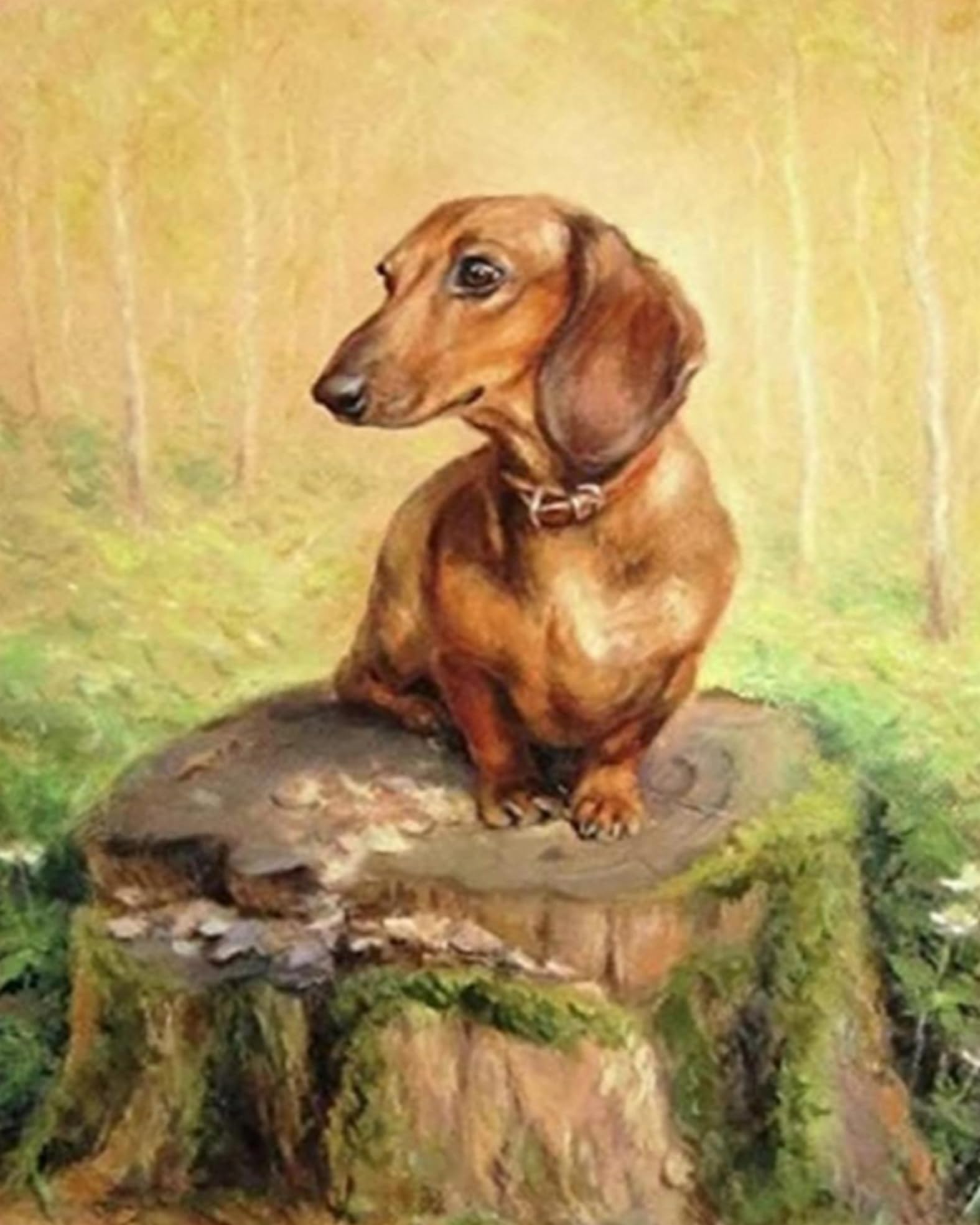Renqidian Pre Printed Cross Stitch Kits Sausage Dogs 11CT Stamped Embroidery Kit DIY Needlework Art for Adults Beginners Home Decor （40x50cm）