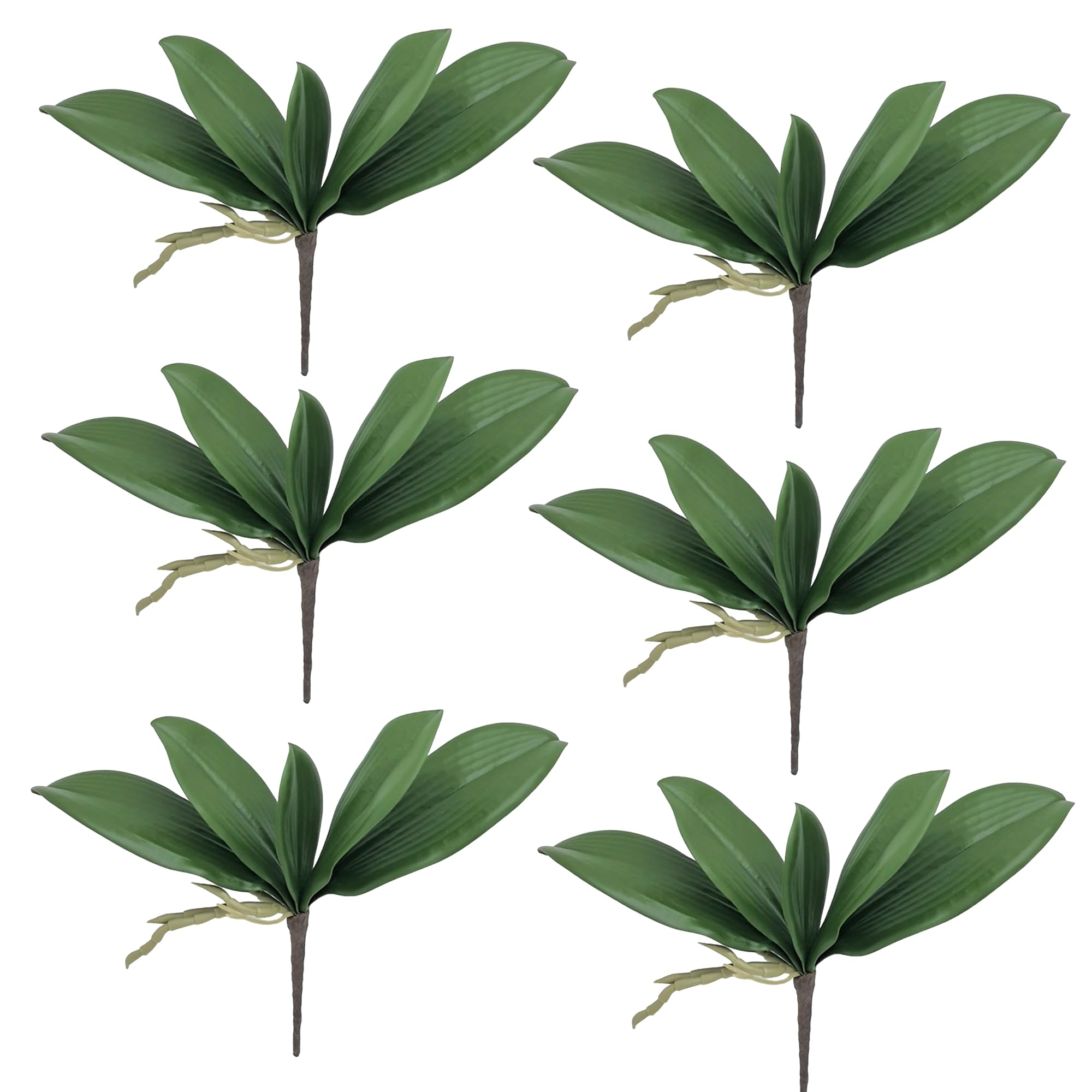 M2cbridge Artificial Green Orchid Leaves Phalaenopsis Stems Real Touch for Flowers Arrangements Pot Decor(9",6pcs)